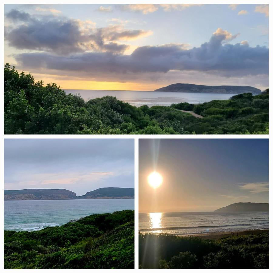 The Paper Fig House Villa Plettenberg Bay Bagian luar foto